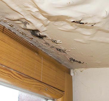 mold in ceiling