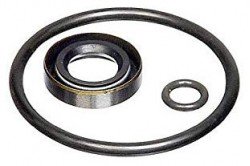 Fluke P3020SK Seal Kit-