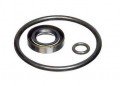Fluke P5514SK Seal Kit-