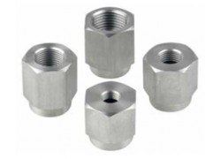 Fluke P5541 Adapter Set for Select Deadweight Testers, BSP-